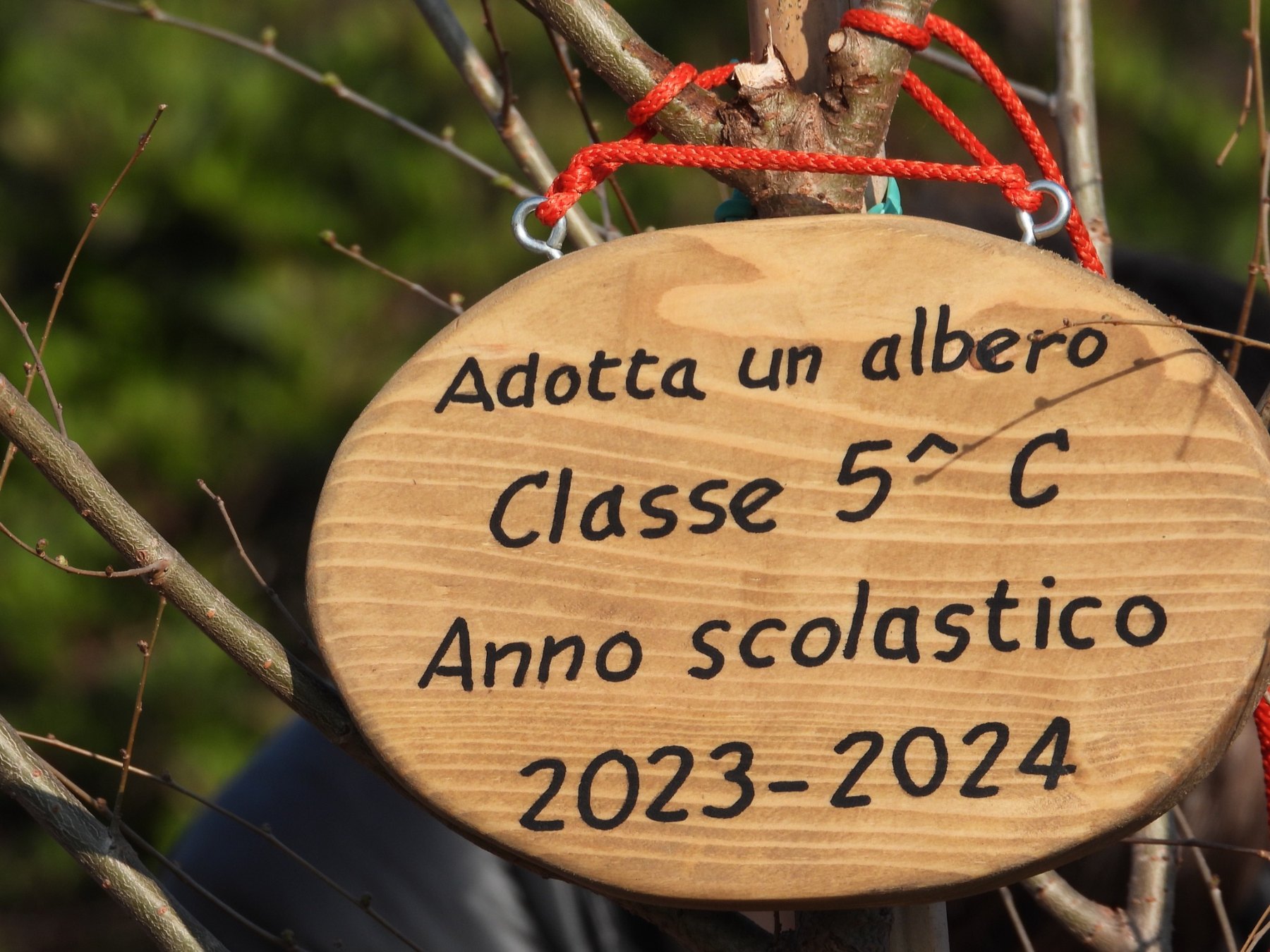 Educazione ambientale: il progetto «Adotta un albero»